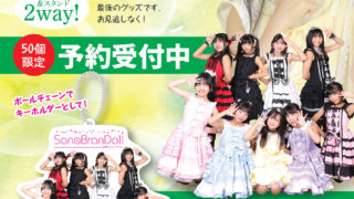 希少♡ブランシュロリータ　ピアノ　2015年　（郵便速達）お値下げ 純情のアフィリアの優希クロエちゃん＆葉山カナちゃんが変身